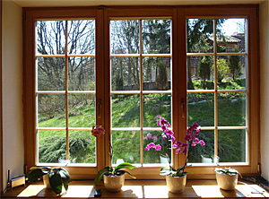 Mazur Kolor - Die Fenster